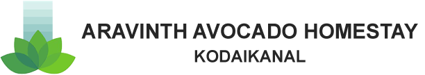 Flat Banner Logo